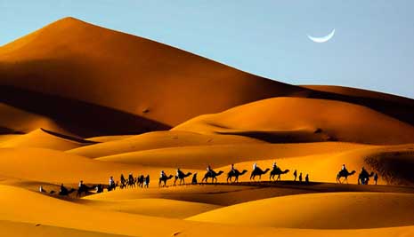 Camel Trekking2
