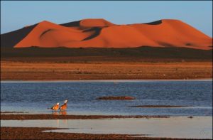 3 Days Tour from Marrakech to the Desert