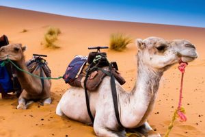 6 Days Morocco Tour Itinerary from Casablanca