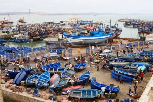 Day trip to Essaouira