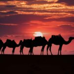 3 Days Desert Tour From Errachidia