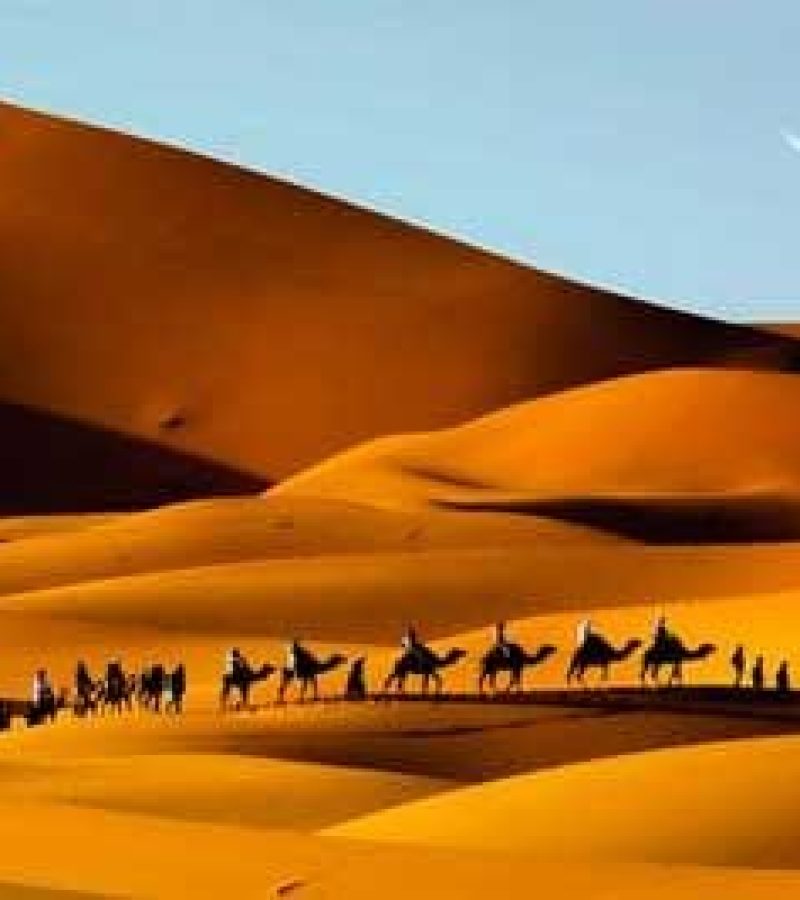 2 days desert tour from Errachidia Morocco Experience Trips