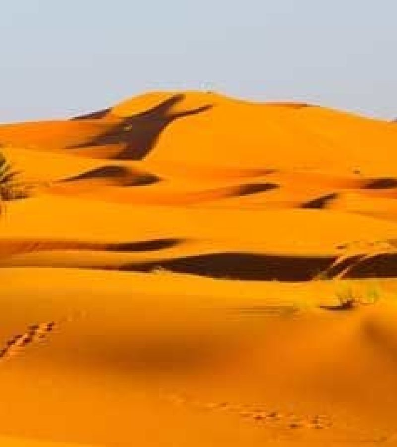 2 days desert tour from Errachidia Morocco Experience Trips